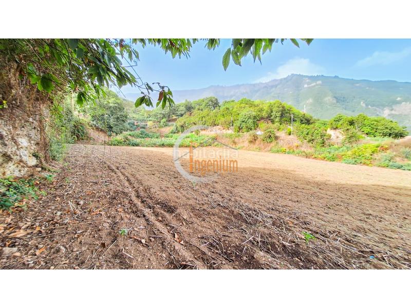 Foto d18635c7-f71b-42cc-b186-e43521d316b5. Finca rústica fincas rústicas en Palo Blanco Realejos (Los) Foto d18635c7-f71b-42cc-b186-e43521d316b5. Finca rústica fincas rústicas en Palo Blanco Realejos (Los)