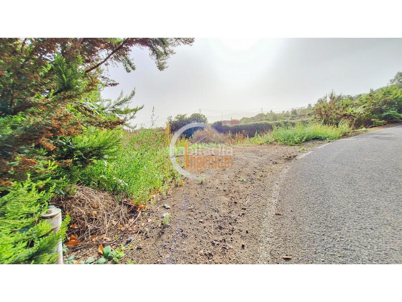 Foto d7d3a721-23c7-466e-bdb0-33942ec9933b. Finca rústica fincas rústicas en Palo Blanco Realejos (Los) Foto d7d3a721-23c7-466e-bdb0-33942ec9933b. Finca rústica fincas rústicas en Palo Blanco Realejos (Los)