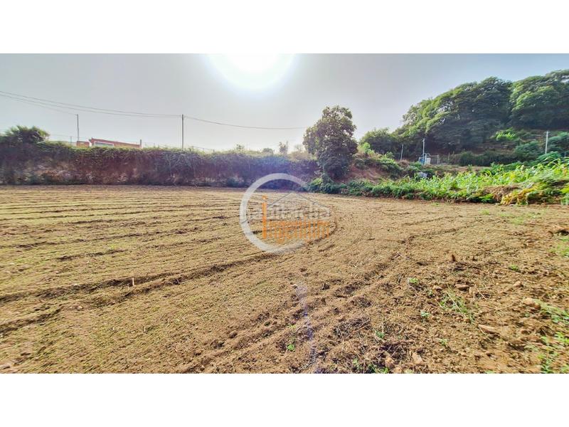 Foto dcb3334d-d728-40a6-9722-0cbaff546a88. Finca rústica fincas rústicas en Palo Blanco Realejos (Los) Foto dcb3334d-d728-40a6-9722-0cbaff546a88. Finca rústica fincas rústicas en Palo Blanco Realejos (Los)