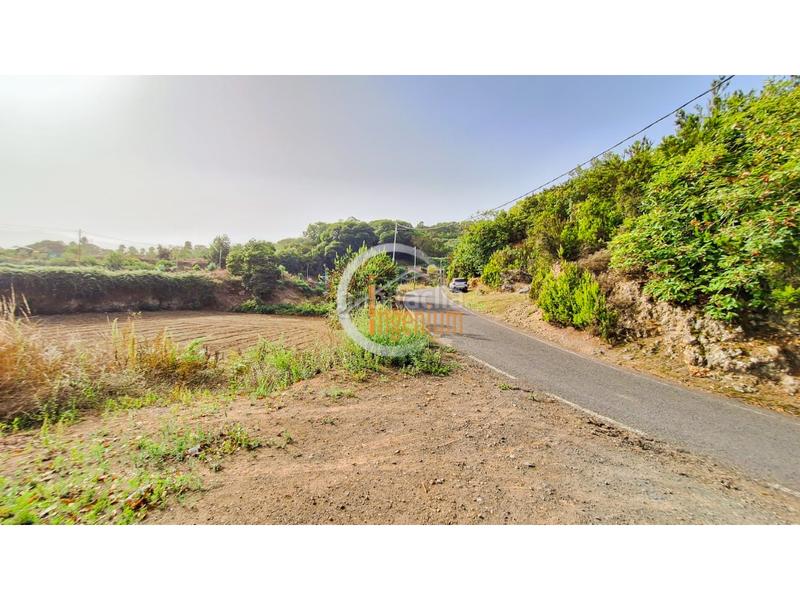 Foto e1af4f0a-3d41-4a7a-a081-04f32578c2d6. Finca rústica fincas rústicas en Palo Blanco Realejos (Los) Foto e1af4f0a-3d41-4a7a-a081-04f32578c2d6. Finca rústica fincas rústicas en Palo Blanco Realejos (Los)