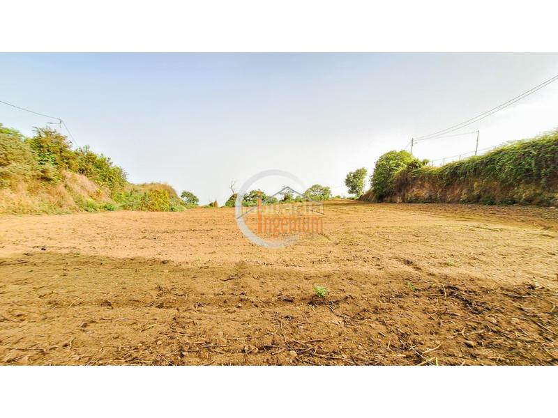 Foto e41c05ed-216c-49ea-8c32-e93d6b0c909f. Finca rústica fincas rústicas en Palo Blanco Realejos (Los) Foto e41c05ed-216c-49ea-8c32-e93d6b0c909f. Finca rústica fincas rústicas en Palo Blanco Realejos (Los)