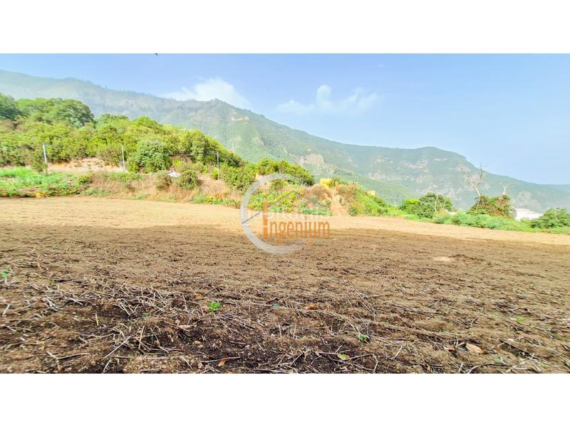 Foto fb073ae3-09e2-400d-9683-46be614ca04b. Finca rústica fincas rústicas en Palo Blanco Realejos (Los) Foto fb073ae3-09e2-400d-9683-46be614ca04b. Finca rústica fincas rústicas en Palo Blanco Realejos (Los)