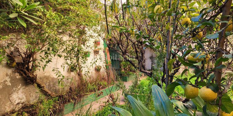 Foto 1640cd06-5be3-4529-9e81-8272a3b5d4d4. Maison dans calle granada dans Centro Nerja Foto 1640cd06-5be3-4529-9e81-8272a3b5d4d4. Maison dans calle granada dans Centro Nerja