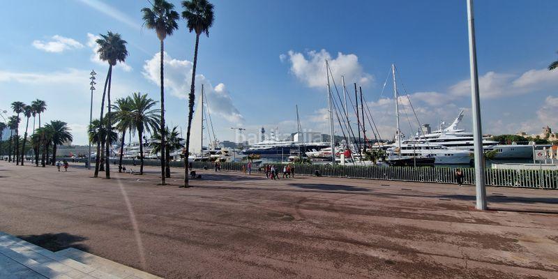 Foto 1cacf73e-88f2-4ce7-8649-f690deb575d3. Pis a Barceloneta Barcelona Foto 1cacf73e-88f2-4ce7-8649-f690deb575d3. Pis a Barceloneta Barcelona