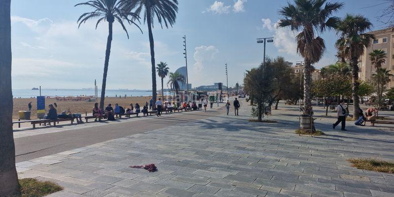 Foto b0aef4d5-d9bf-46c4-a7db-c9d61956021f. Pis a Barceloneta Barcelona Foto b0aef4d5-d9bf-46c4-a7db-c9d61956021f. Pis a Barceloneta Barcelona