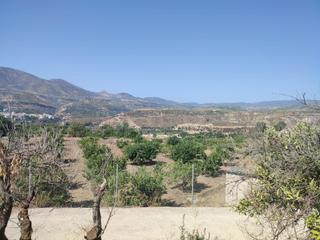 Fondo rustico in Lecrín. Terreno agrícola en lecrin!! Fondo rustico in Lecrín. Terreno agrícola en lecrin!!