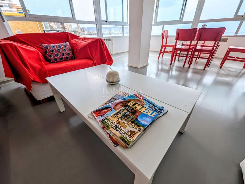 Foto 0e117a0c-eaff-4b1c-bc51-5737d98ea2b1. Rent flat with heating pool in Playa Poniente Benidorm Foto 0e117a0c-eaff-4b1c-bc51-5737d98ea2b1. Rent flat with heating pool in Playa Poniente Benidorm