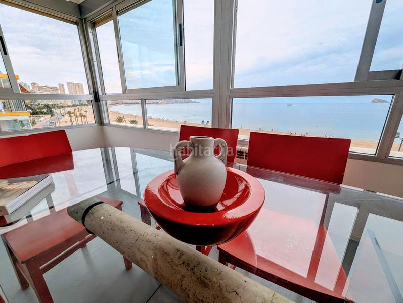 Foto 5f766b9e-31ff-4a0a-8cbb-dba69f974188. Rent flat with heating pool in Playa Poniente Benidorm Foto 5f766b9e-31ff-4a0a-8cbb-dba69f974188. Rent flat with heating pool in Playa Poniente Benidorm