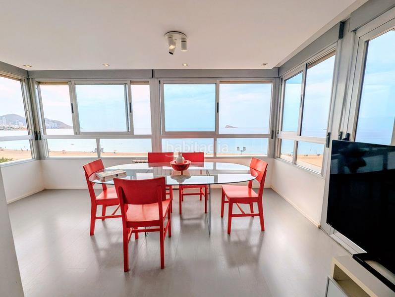 Foto ea4bda71-3538-47ef-ab50-6877b6b9fc2c. Rent flat with heating pool in Playa Poniente Benidorm Foto ea4bda71-3538-47ef-ab50-6877b6b9fc2c. Rent flat with heating pool in Playa Poniente Benidorm