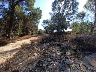 Terreno residencial en Alberic. Se vende parcela urbanizable de 3040m2 en la urbanización de san Terreno residencial en Alberic. Se vende parcela urbanizable de 3040m2 en la urbanización de san