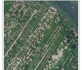 Rural plot in Polinyà de Xúquer. Se venden dos parcelas en terreno rural en polinya del xuquer. Rural plot in Polinyà de Xúquer. Se venden dos parcelas en terreno rural en polinya del xuquer.