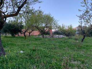 Bauernhof N/a Bauernhof N/a