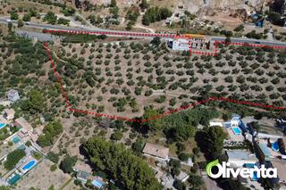 Masia a Diseminado ctra valdepeñas 42. 400 olivos con vivienda y piscina a 1 km de jaén Masia a Diseminado ctra valdepeñas 42. 400 olivos con vivienda y piscina a 1 km de jaén