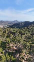 Finca rústica a Camino polígono 15 parcela 203 sa trongera. andratx (ill 15. Terreno rústico con vistas panorámicas en sarracó, andratx 12.2 Finca rústica a Camino polígono 15 parcela 203 sa trongera. andratx (ill 15. Terreno rústico con vistas panorámicas en sarracó, andratx 12.2