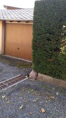 Piccolo appartamento in Dorres. Apartamento con jardin Piccolo appartamento in Dorres. Apartamento con jardin