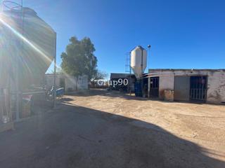 Local commercial à Cabanes. Granja en pleno funcionamiento cerca de torreblanca Local commercial à Cabanes. Granja en pleno funcionamiento cerca de torreblanca