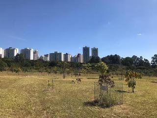 Rent Residential Plot in Prosperidad Rent Residential Plot in Prosperidad