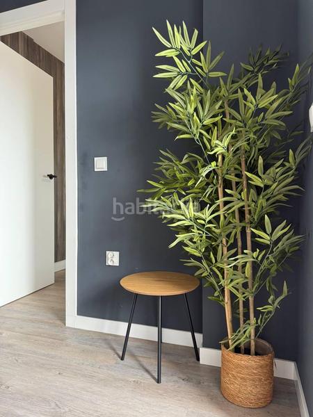 Foto a8bafedd-abbd-40cd-a4a1-e085a61e55db. Apartament a Antonio Machado Torrevieja Foto a8bafedd-abbd-40cd-a4a1-e085a61e55db. Apartament a Antonio Machado Torrevieja