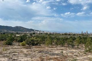 Finca rústica a Juzgados - Plaza de Toros. Terreno en venta en partida saltet Finca rústica a Juzgados - Plaza de Toros. Terreno en venta en partida saltet