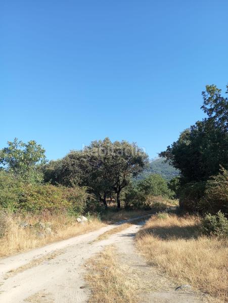 Foto 91ea749a-78fe-4624-b495-4e2525971f9e. Finca rústica a Candeleda Foto 91ea749a-78fe-4624-b495-4e2525971f9e. Finca rústica a Candeleda