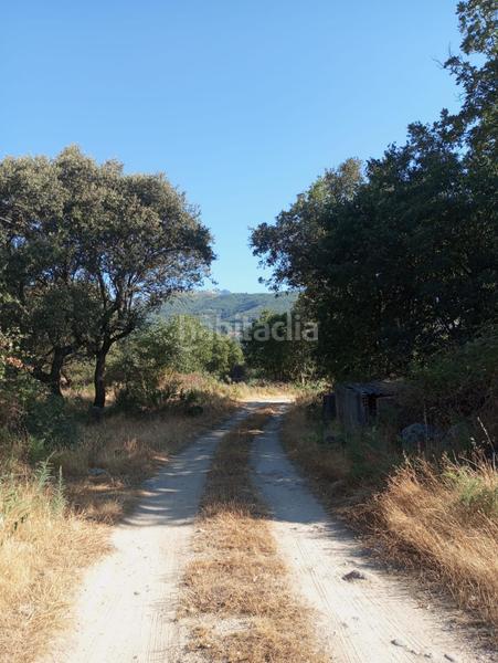 Foto d3124852-6aec-42cb-8691-597b5185c0d8. Finca rústica a Candeleda Foto d3124852-6aec-42cb-8691-597b5185c0d8. Finca rústica a Candeleda