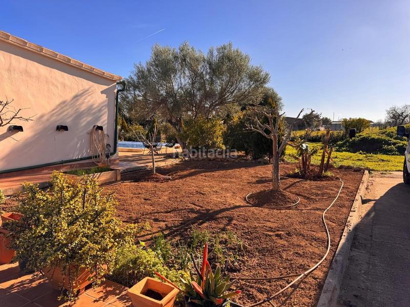 Foto 180a6d37-dedd-43f8-a50f-bbe6dba47af1. Alquiler chalet casa de campo en alquiler en Binissalem Foto 180a6d37-dedd-43f8-a50f-bbe6dba47af1. Alquiler chalet casa de campo en alquiler en Binissalem