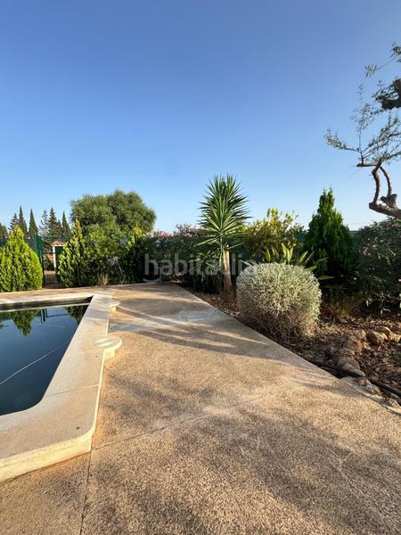 Foto 26e9a310-02f4-46b4-bc03-148c50cf9cfe. Alquiler chalet casa de campo en alquiler en Binissalem Foto 26e9a310-02f4-46b4-bc03-148c50cf9cfe. Alquiler chalet casa de campo en alquiler en Binissalem