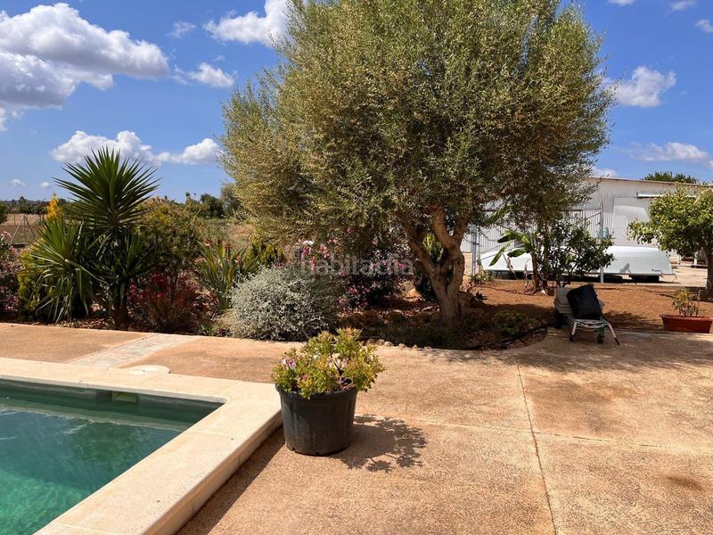 Foto 9b1c852c-1b44-4aa9-8e02-eb020b72935d. Alquiler chalet casa de campo en alquiler en Binissalem Foto 9b1c852c-1b44-4aa9-8e02-eb020b72935d. Alquiler chalet casa de campo en alquiler en Binissalem