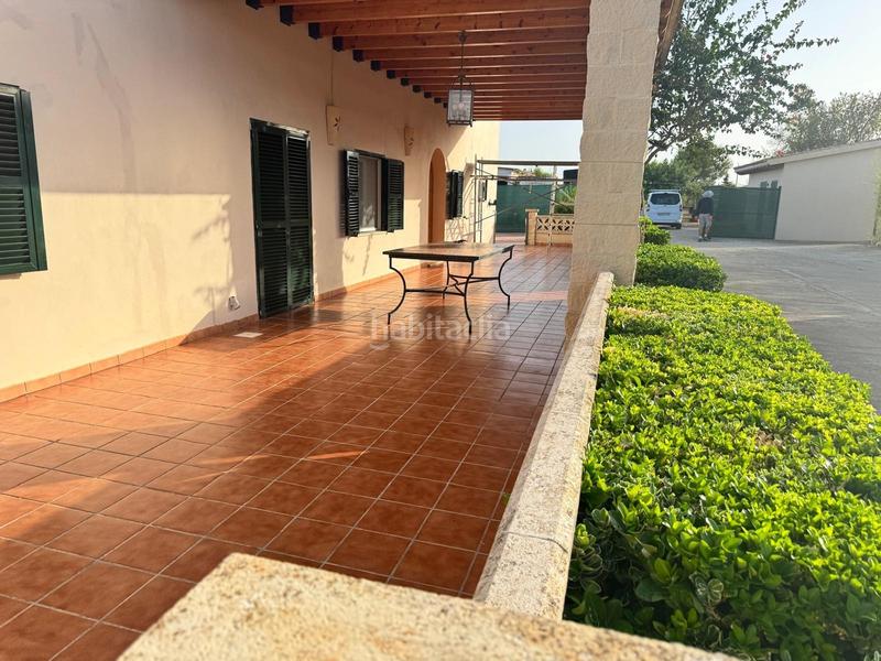 Foto eafd055e-cbb0-4493-97ac-64255616f89b. Alquiler chalet casa de campo en alquiler en Binissalem Foto eafd055e-cbb0-4493-97ac-64255616f89b. Alquiler chalet casa de campo en alquiler en Binissalem
