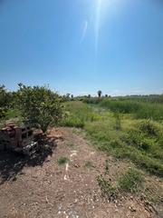 Mas  Camí de la donació 292a. Alquería en la marjalería de castellón de la plana Mas  Camí de la donació 292a. Alquería en la marjalería de castellón de la plana