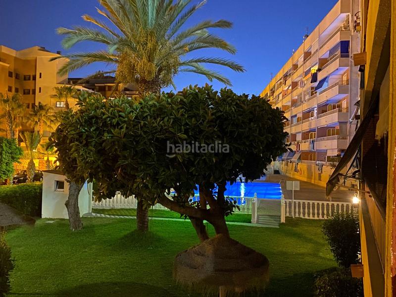 Foto 7b09e4c4-a855-43b0-8998-7f7dae30a782. Appartement avec chauffage piscine dans Punta Prima Torrevieja Foto 7b09e4c4-a855-43b0-8998-7f7dae30a782. Appartement avec chauffage piscine dans Punta Prima Torrevieja