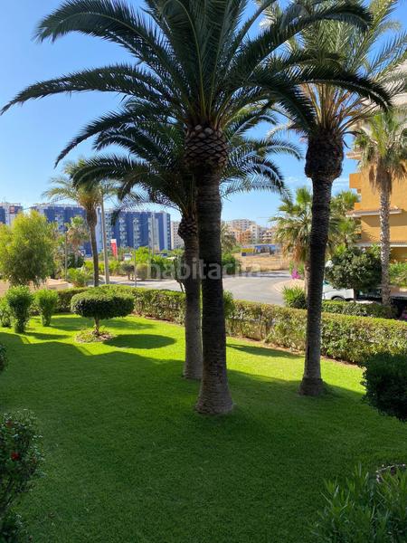 Foto b0a7dd0c-fe57-4a1a-bf42-5ca1e6c0bb74. Appartement avec chauffage piscine dans Punta Prima Torrevieja Foto b0a7dd0c-fe57-4a1a-bf42-5ca1e6c0bb74. Appartement avec chauffage piscine dans Punta Prima Torrevieja