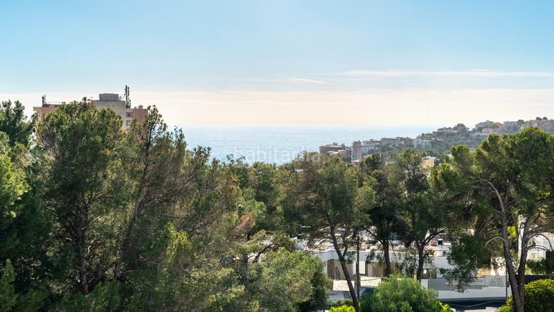 Foto b799b3c8-8e7a-4a6d-b0e7-e530e324c375. Casa bifamiliare con riscaldamento parcheggio in Sant Agustí Palma de Mallorca Foto b799b3c8-8e7a-4a6d-b0e7-e530e324c375. Casa bifamiliare con riscaldamento parcheggio in Sant Agustí Palma de Mallorca