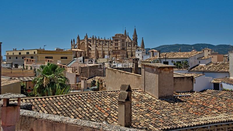Foto 92345394-c1bf-4a20-817f-8b31daff8e38. Dachwohnung mit heizung in Cort Palma de Mallorca Foto 92345394-c1bf-4a20-817f-8b31daff8e38. Dachwohnung mit heizung in Cort Palma de Mallorca