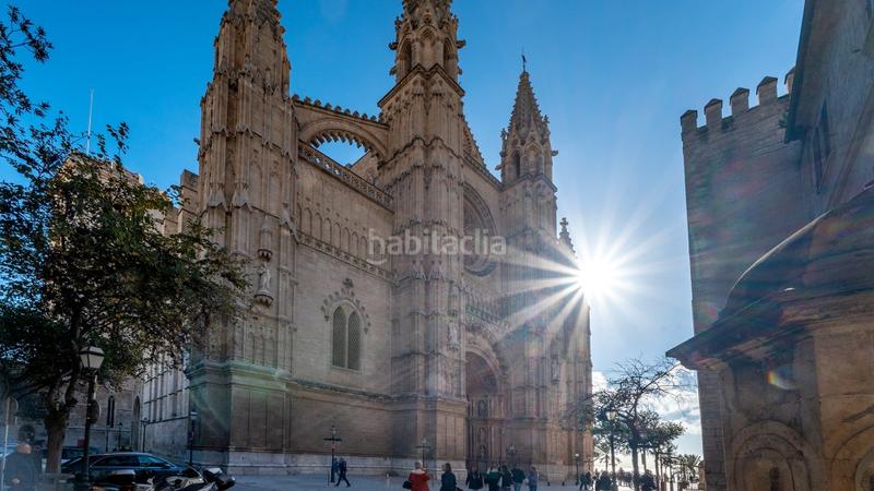 Foto f641aa57-1fe6-49b8-97d9-14afe37f0892. Dachwohnung mit heizung in Cort Palma de Mallorca Foto f641aa57-1fe6-49b8-97d9-14afe37f0892. Dachwohnung mit heizung in Cort Palma de Mallorca