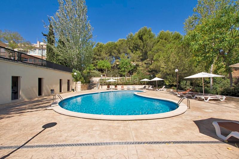 Foto af7b497e-a0be-4f57-8340-b132966a6aea. Attico con riscaldamento parcheggio piscina in La Bonanova Palma de Mallorca Foto af7b497e-a0be-4f57-8340-b132966a6aea. Attico con riscaldamento parcheggio piscina in La Bonanova Palma de Mallorca