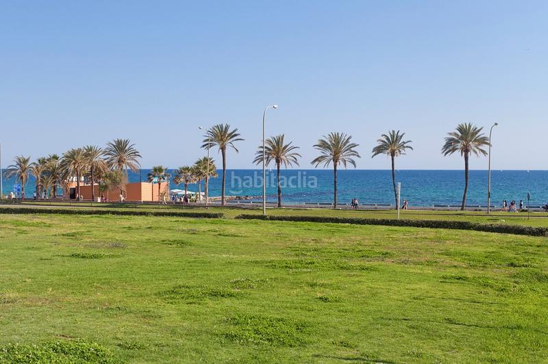 Foto 143bfa2a-68d8-44af-b311-83bda6029a8f. Ground floor with pool in Foners Palma de Mallorca Foto 143bfa2a-68d8-44af-b311-83bda6029a8f. Ground floor with pool in Foners Palma de Mallorca