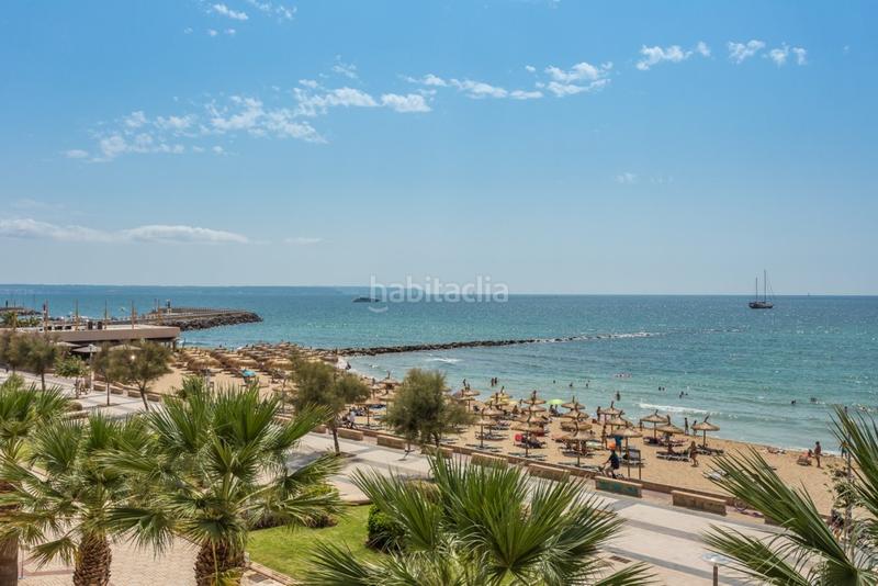 Foto b35341eb-6195-4ad8-96a7-2d3905fa4d14. Ground floor with pool in Foners Palma de Mallorca Foto b35341eb-6195-4ad8-96a7-2d3905fa4d14. Ground floor with pool in Foners Palma de Mallorca