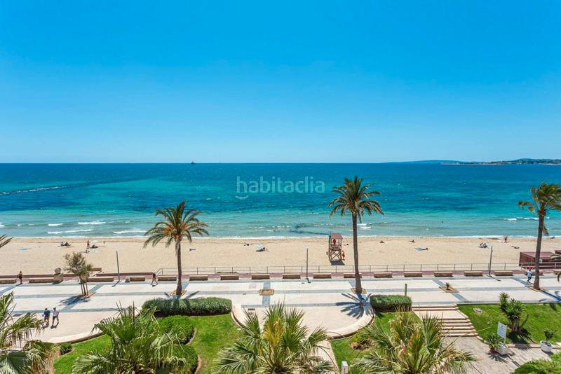 Foto db5f1dfc-8b03-481f-8745-ddd7516cb13d. Ground floor with pool in Foners Palma de Mallorca Foto db5f1dfc-8b03-481f-8745-ddd7516cb13d. Ground floor with pool in Foners Palma de Mallorca