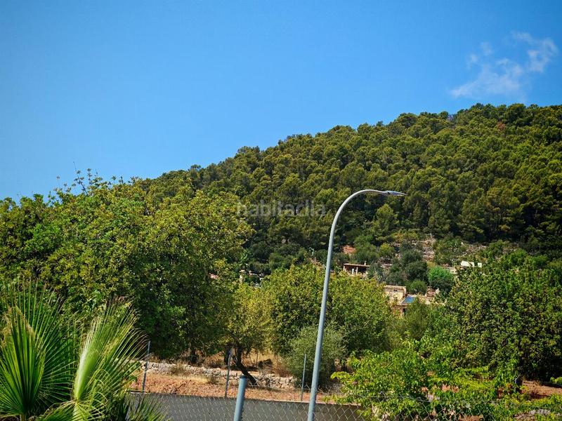 Foto 8ea28c23-75c7-46ed-a845-56571117bebe. Terrain résidentiel dans Alaró Foto 8ea28c23-75c7-46ed-a845-56571117bebe. Terrain résidentiel dans Alaró