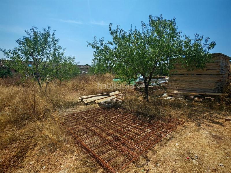 Foto 99a17209-99bb-465d-a6e9-4e49fd357851. Terrain résidentiel dans Alaró Foto 99a17209-99bb-465d-a6e9-4e49fd357851. Terrain résidentiel dans Alaró