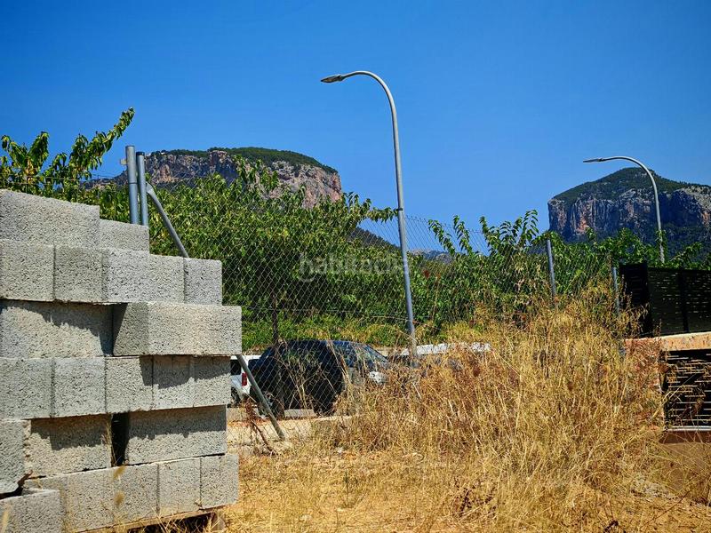 Foto ceb93ab9-5c89-48e1-b2b3-c6002562dd43. Terrain résidentiel dans Alaró Foto ceb93ab9-5c89-48e1-b2b3-c6002562dd43. Terrain résidentiel dans Alaró