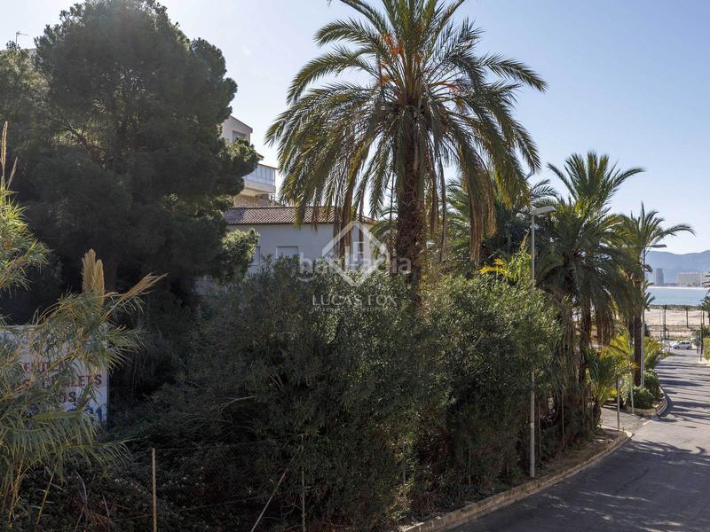 Foto b8f17871-07ea-408a-bc19-50790fee099e. Xalet amb calefacció aparcament piscina a El Faro Cullera Foto b8f17871-07ea-408a-bc19-50790fee099e. Xalet amb calefacció aparcament piscina a El Faro Cullera