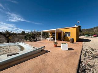 Chalet in Sax. Increíble casa de campo reformada con piscina en sax Chalet in Sax. Increíble casa de campo reformada con piscina en sax