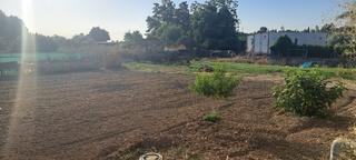 Fondo rustico in Campanillas. Parcela rústica agrícola con casa móvil Fondo rustico in Campanillas. Parcela rústica agrícola con casa móvil