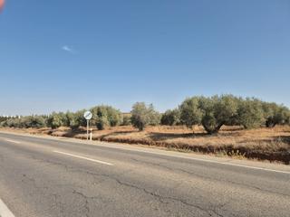 Fondo rustico in Montemayor. Venta de parcela rústica de olivar en montemayor (córdoba) Fondo rustico in Montemayor. Venta de parcela rústica de olivar en montemayor (córdoba)