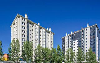 Pis  Chano piã±eiro 1 Pis  Chano piã±eiro 1