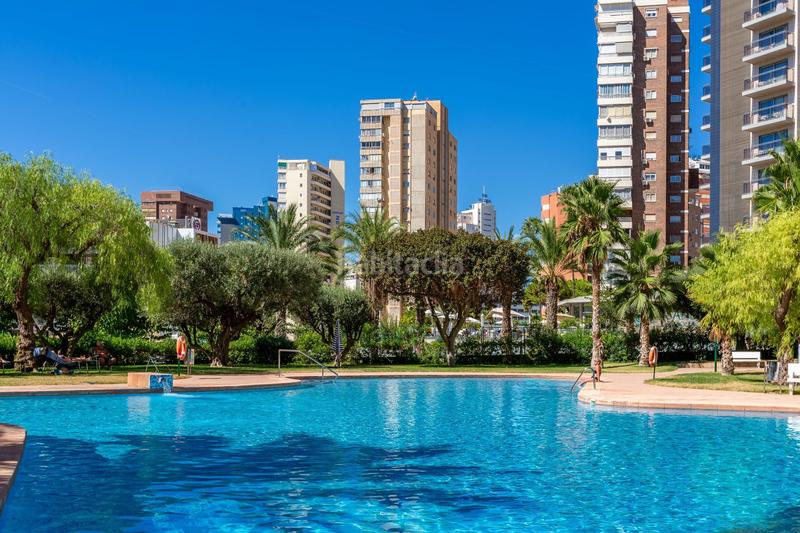 Foto 0a0298a5-0a09-4ba0-9687-d2149e737a46. Pis amb calefacció piscina a Levante Alto Benidorm Foto 0a0298a5-0a09-4ba0-9687-d2149e737a46. Pis amb calefacció piscina a Levante Alto Benidorm