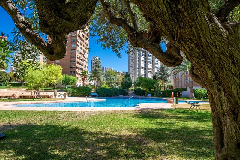 Foto 913a947a-ba4c-4fad-a19e-4eee0d57e0be. Pis amb calefacció piscina a Levante Alto Benidorm Foto 913a947a-ba4c-4fad-a19e-4eee0d57e0be. Pis amb calefacció piscina a Levante Alto Benidorm
