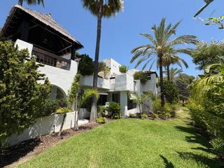 Apartment in Casco Antiguo Apartment in Casco Antiguo